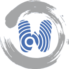 Wanconnect Consulting Group logo