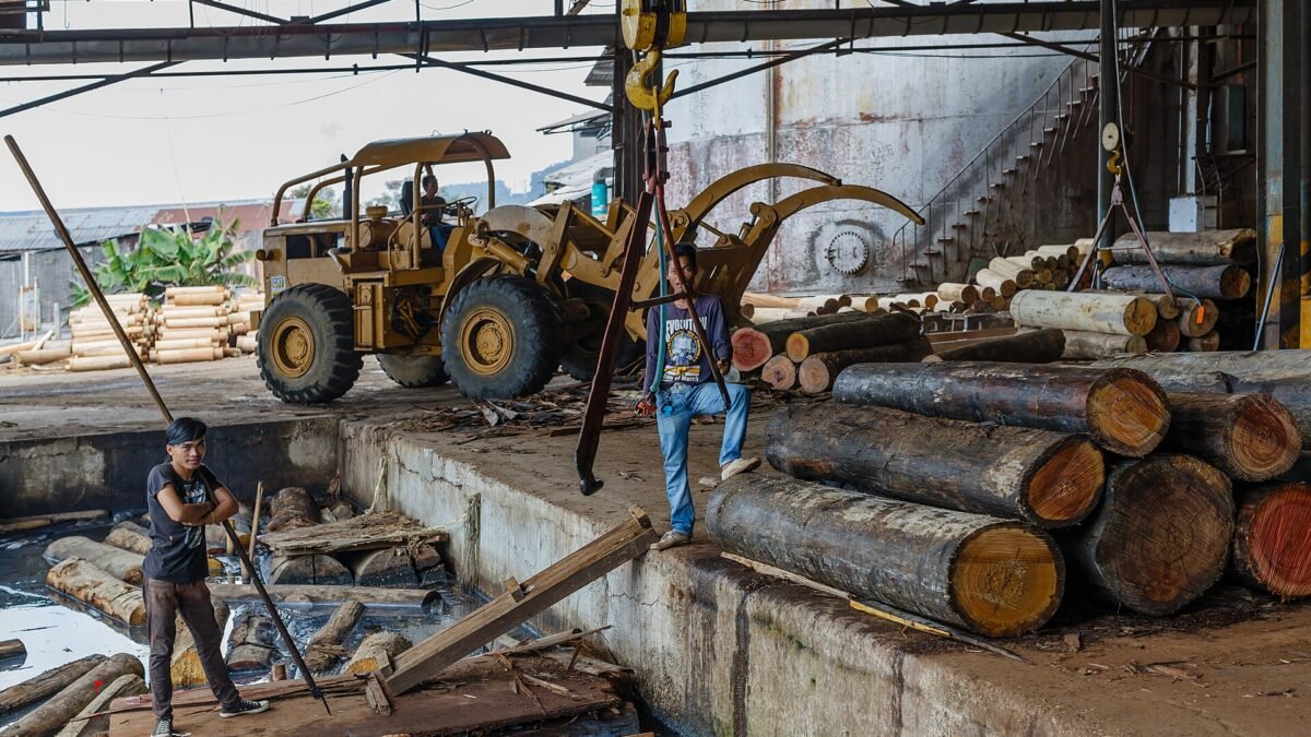 Workers in a Sabah plywood factory